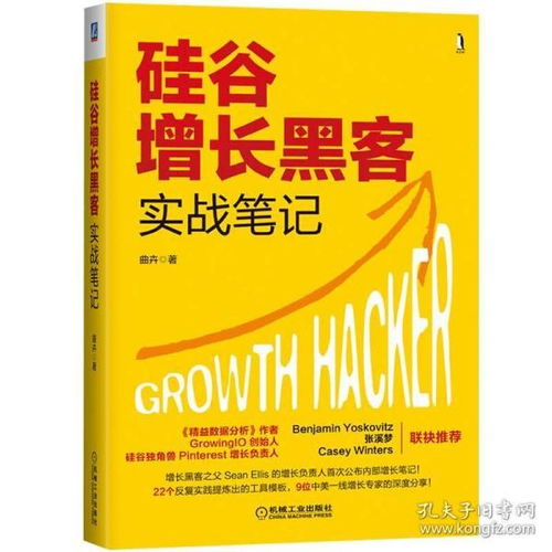 《硅谷增長黑客實戰筆記》 互聯網時代的增長智慧與實戰指南