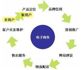 B2C電子商務 從概念到實踐的互聯網銷售新模式